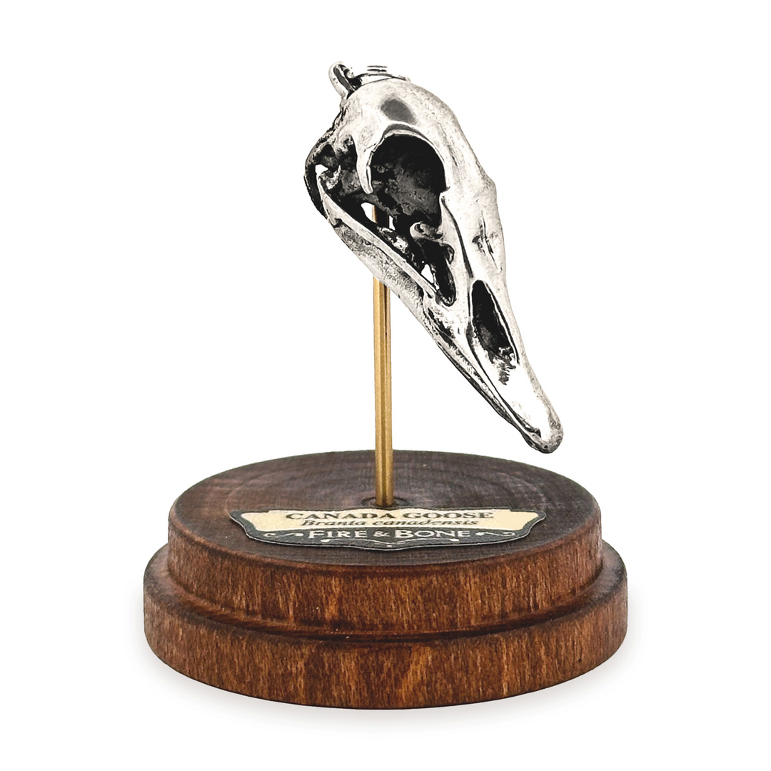 Sterling Silver Canada Goose Skull Pendant by Fire & Bone