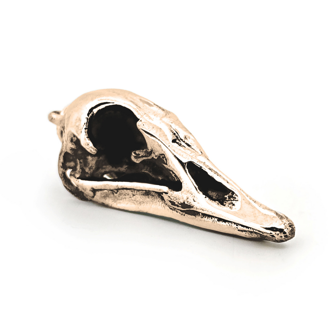 Yellow Bronze Canada Goose Skull Pendant by Fire & Bone