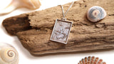 Fossil Brittle Star