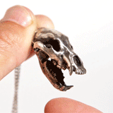 Cave Bear - Bronze