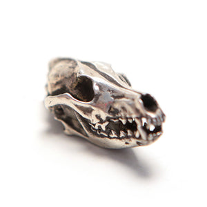 Coyote - Bronze