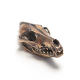Coyote - Bronze