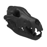 3D Printed Desktop Display Skulls