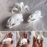 3D Printed Desktop Display Skulls