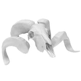 3D Printed Desktop Display Skulls