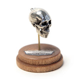 Modern Human - Bronze