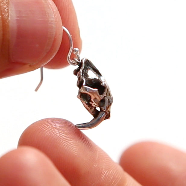 Sabertoothed Cat Earrings