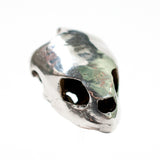 Kemp's Ridley Sea Turtle - Silver