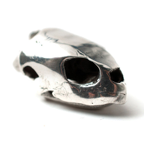 Kemp's Ridley Sea Turtle - Silver