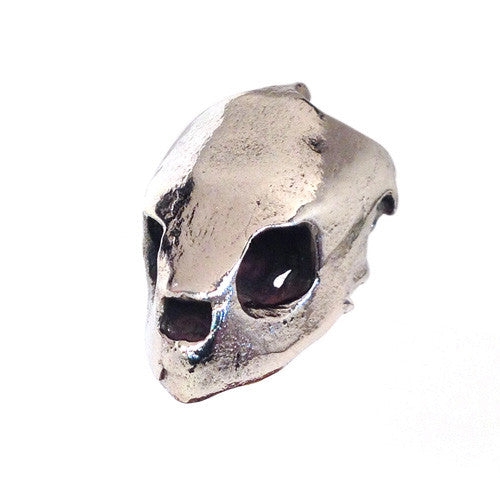 Kemp's Ridley Sea Turtle - Bronze
