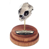 Kemp's Ridley Sea Turtle - Bronze