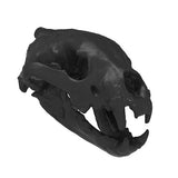 3D Printed Desktop Display Skulls