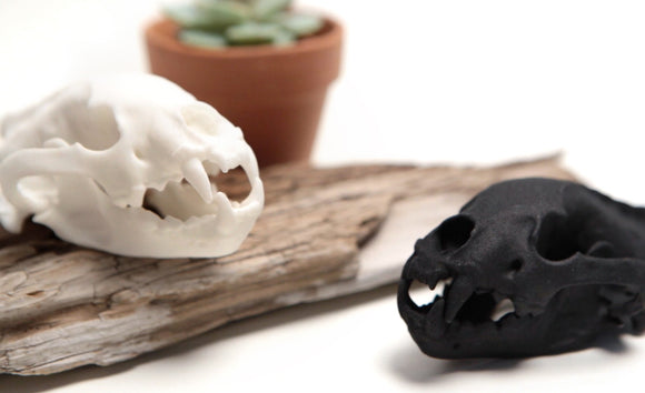 3D Printed Desktop Display Skulls